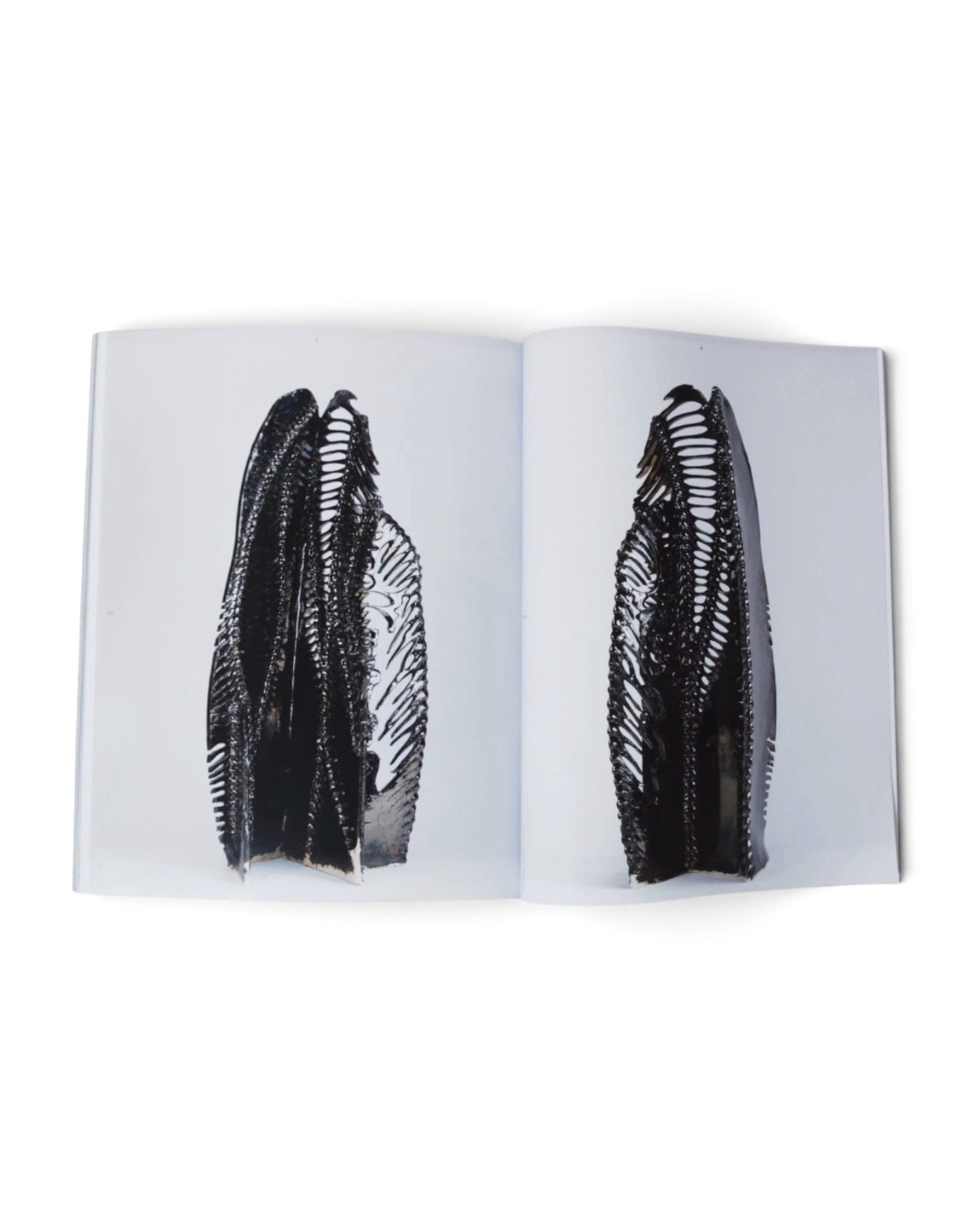 ISSUE N°01 DARK MATTER